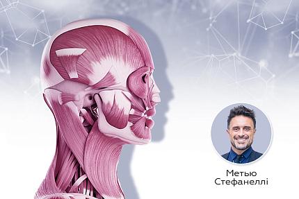 Образовательный анатомический cadaver class