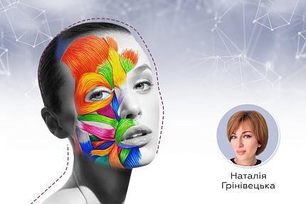 М’язовий шар в структурі обличчя